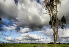 阿尔及利亚队在欧锦赛中豪取胜利，迎头赶上